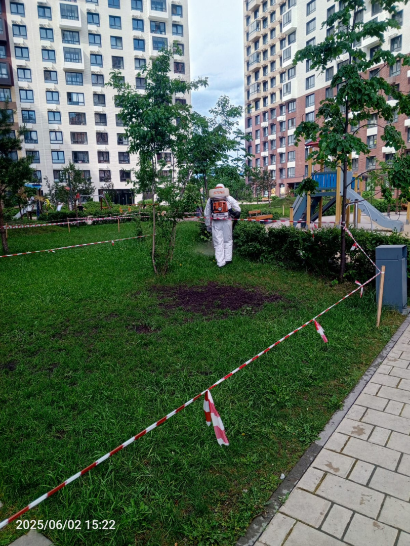 WhatsApp Image 2025-06-02 at 16.49.05 (2).jpeg